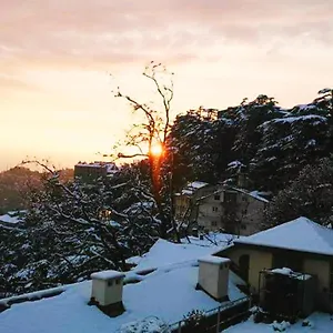 the-thistle-lodge.shimlahotels.net/